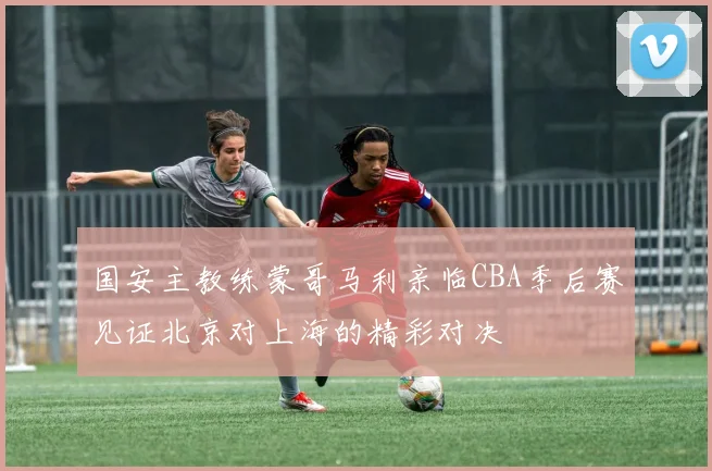 国安主教练蒙哥马利亲临CBA季后赛见证北京对上海的精彩对决